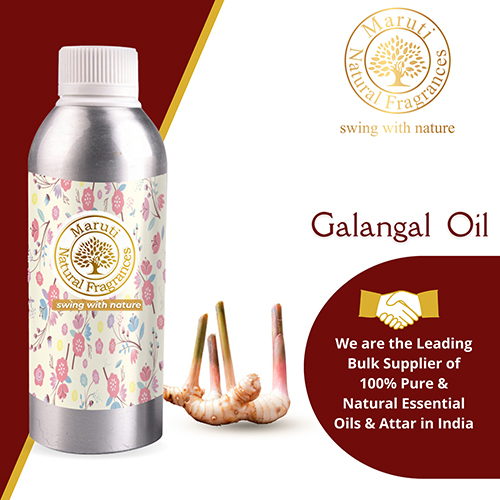 Galangal  Oil