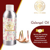 Galangal  Oil