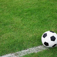 Landscaping Artificial Turf - Feature: Durable