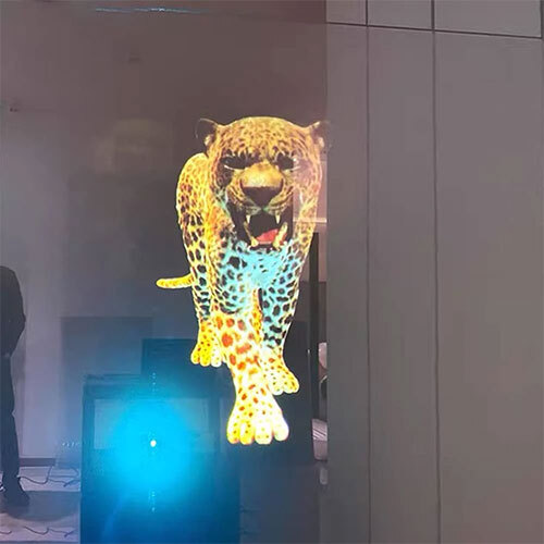 Transparent Rear Projection Film