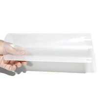 3D Holographic Rear Projection Screen Film