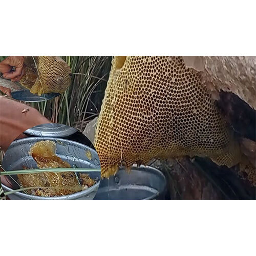 Pure Natural Organic Honey