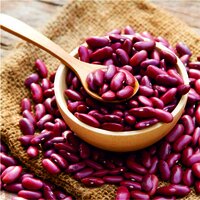 Kidney Beans - Cultivation Type: Common