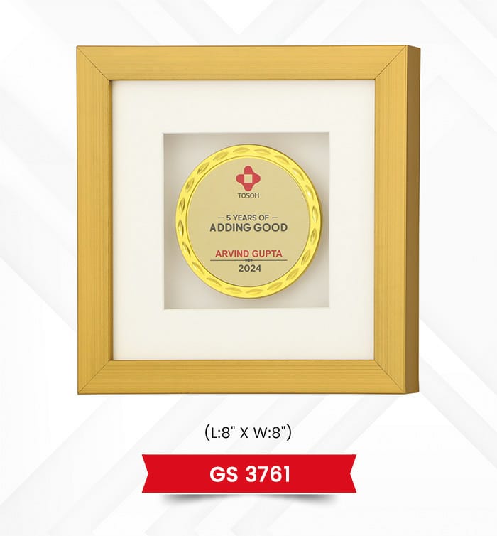 Mementos & Plaques Frame
