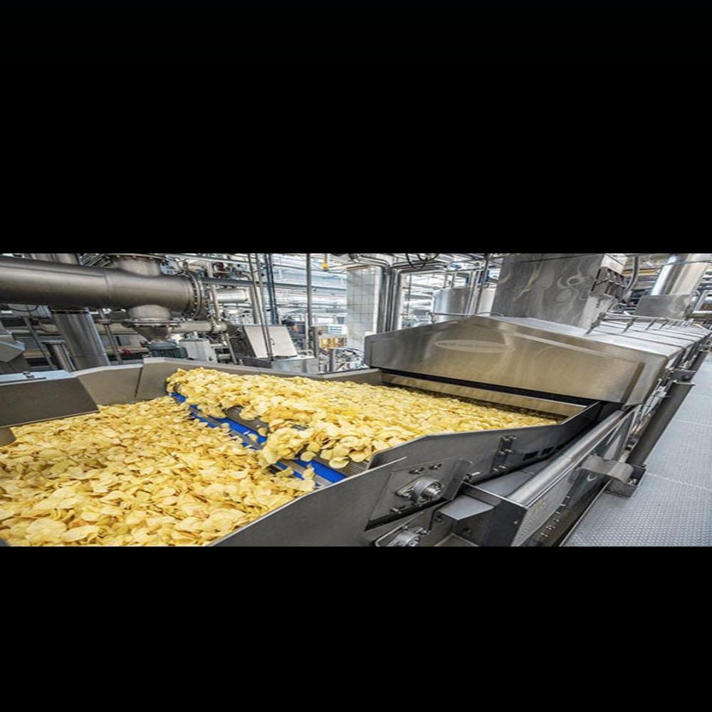 Continous Batch Fryer - Food Grade Material, Customized Size & Productivity | Oil Filter & Storage Tank, Multi-fuel Heating Options