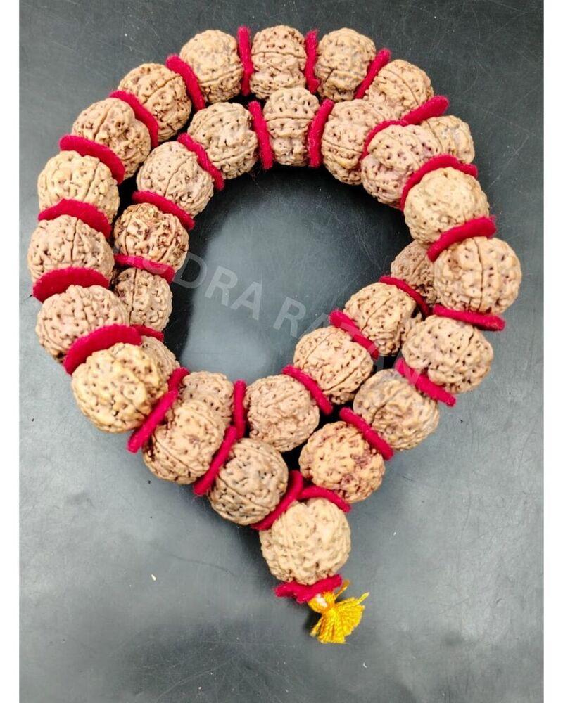Natural 5 Mukhi Nepal Rudraksha Kantha Mala Big Size 25 to 28mm