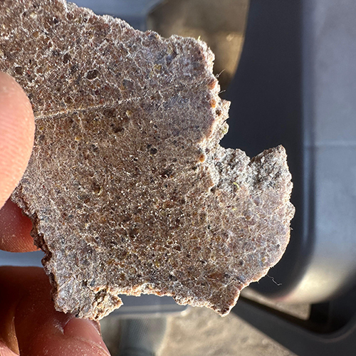 Groundnut De Oiled Cake