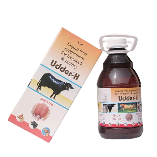 Udder H
