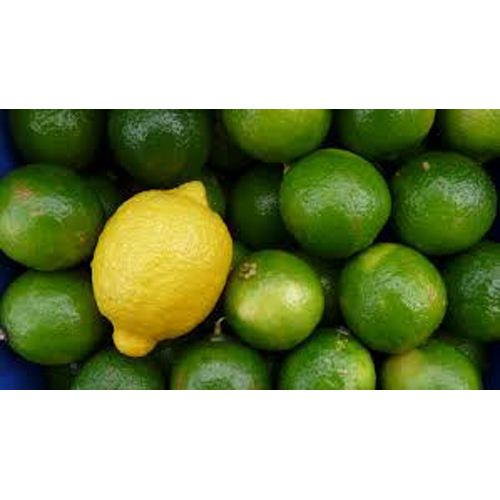 Fresh Lemon
