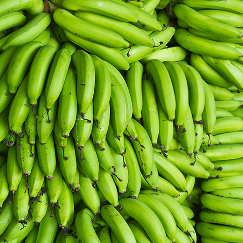 Fresh Plantain Banana