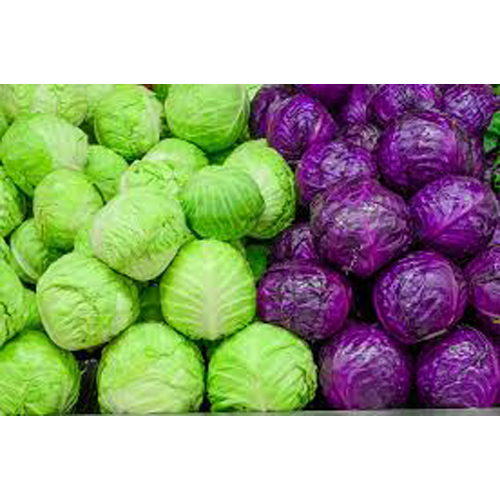 Fresh Cabbage