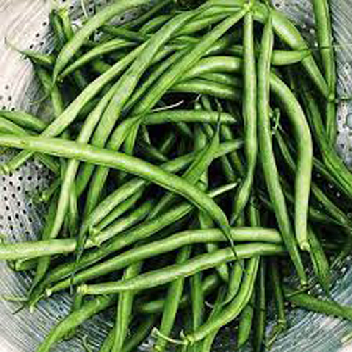 Fresh Beans