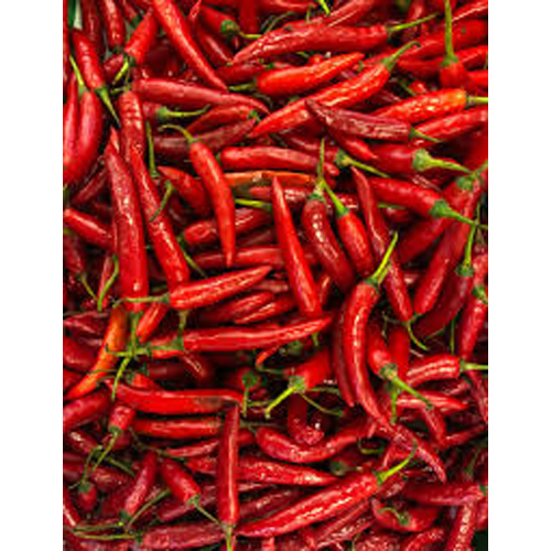 Fresh Red Chilli