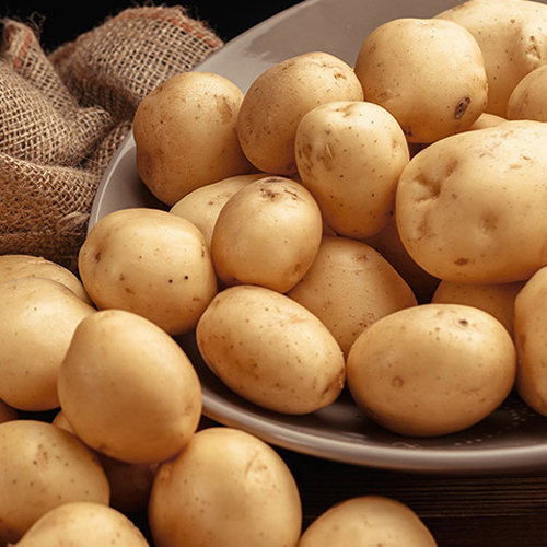 Fresh Potato