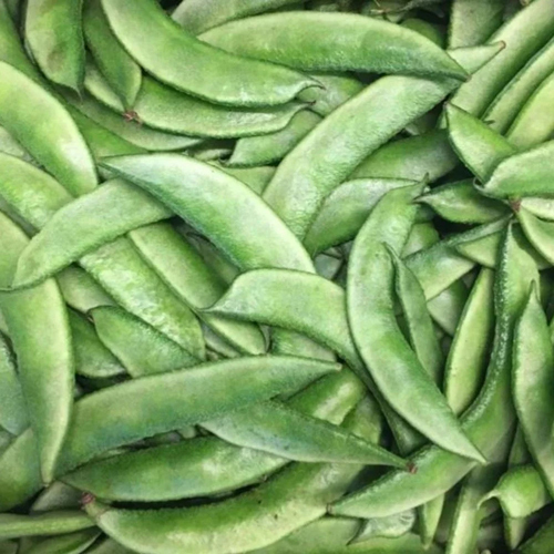 Fresh Broad Beans