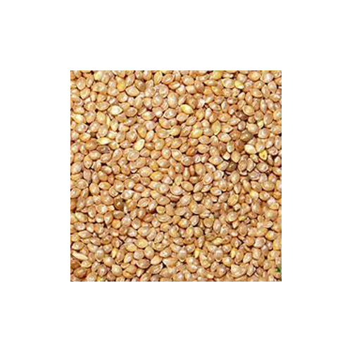 Barnyard Millet