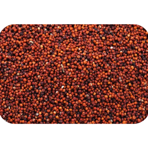 Finger Millet