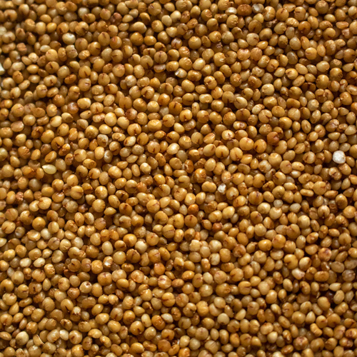 Kodod Millet