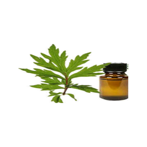 Davana Oil
