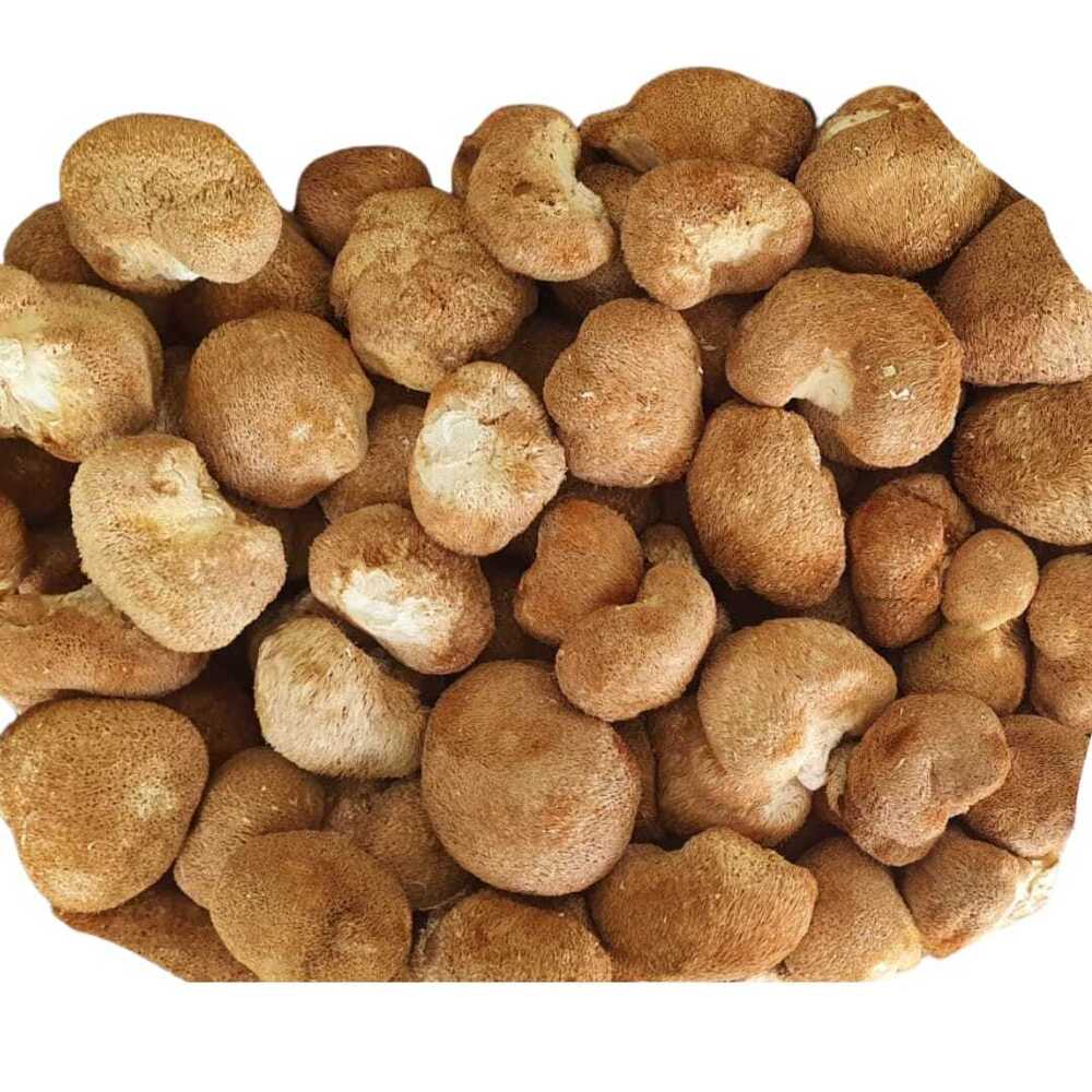 Lion's Mane Mushroom Powder