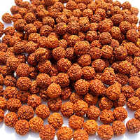 8 Mm Natural Nepali Panchmukhi Rudraksh Loose Beads - Material: Wood