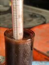 Cashew Nut Shell Oil (cnsl Oil)