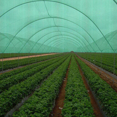 Agro Shade Net - HDPE Material, 3-4 M Width, Green Color, Powder Coated Finish, 30-350 GSM Weight | Durable Protection for Crops from Sunlight, Wind, and Pests