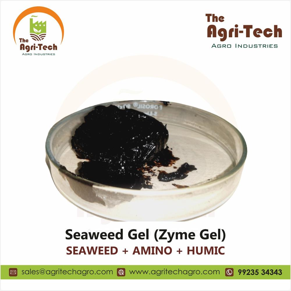 Seaweed Gel