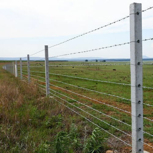 Barbed Wall Fencing