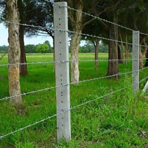 Barbed Wall Fencing