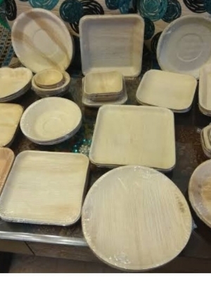 Areca Palm 100% Biodegradable products