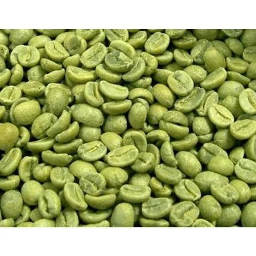 Arabica Plantation Aa Green Coffee Bean - Cultivation Type: Organic