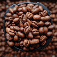 Robusta Aaa Roasted Coffee Beans - Cultivation Type: Organic