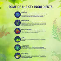 50ml Ayuvriddhi Herbal Hair Oil