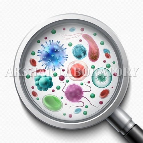 Salmonella Pullorum Testing सेवाएं