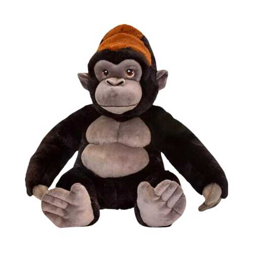 CHIMPANZY, MONKEY, GORILLA