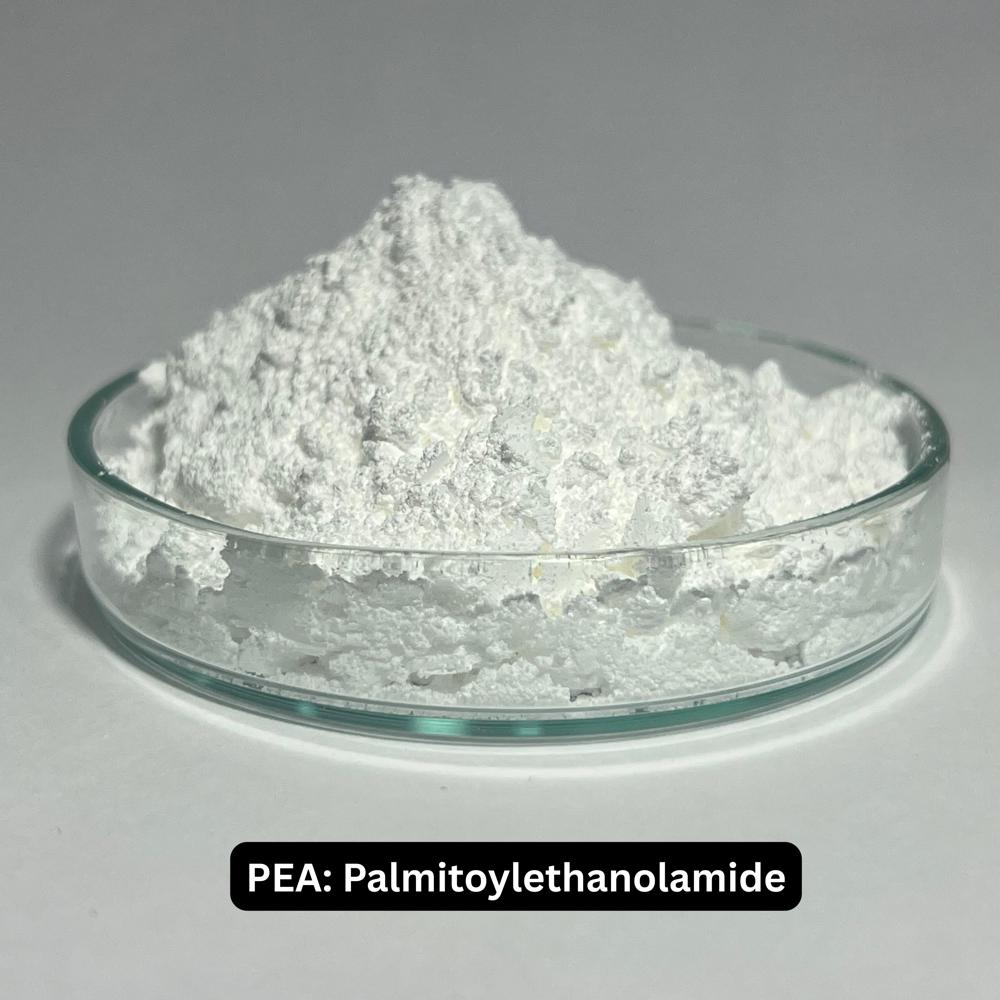 Pea : Palmitoylethanolamide - Cas No: 544-31-0