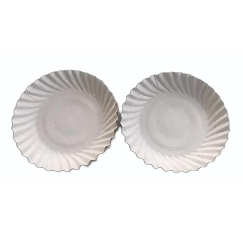 White Paper Plate