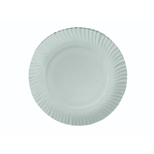 Biodegradable Paper Plate