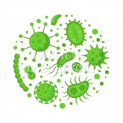 Proteus Mirabilis Testing सेवाएं