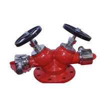 Double Outlet Fire Hydrant Landing Valve - Coating Type: Powder Coated
