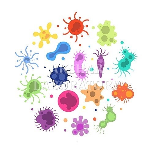 Salmonella Dublin Testing सेवाएं