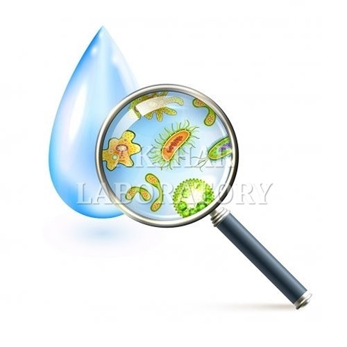 Anabaena Cylindrica Testing सेवाएं
