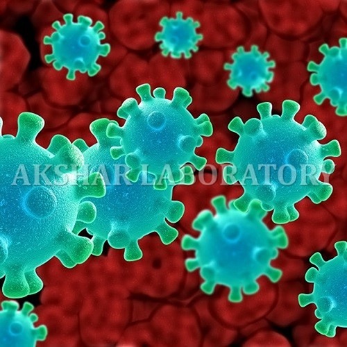 Candida Albican Testing सेवाएं