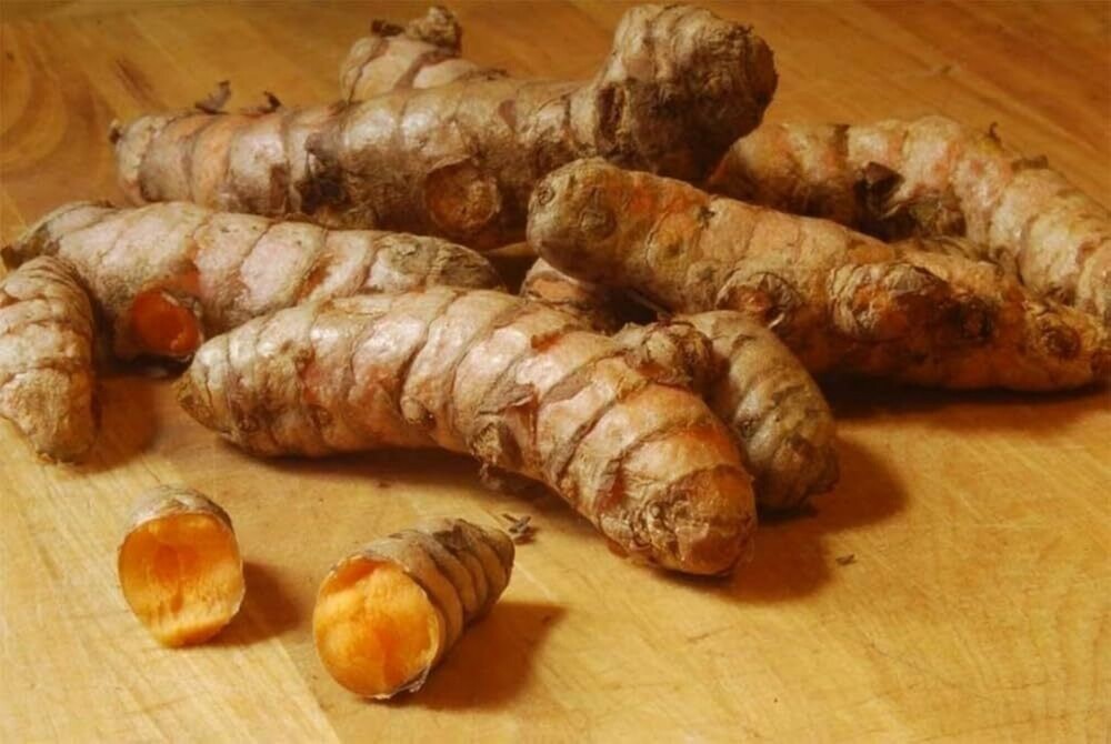 Turmeric Root - 5-15cm Length, 20-200g Weight | Orange Spice Root for Culinary Uses, Food Coloring, Dietary Supplement, Traditional Medicine