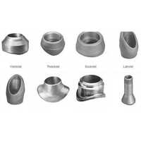 Stainless Steel Outlets - Color: Silver