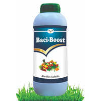 Baci-Boost Bacillus Subtilis  Fungicides