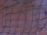 Bird Net
