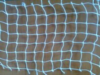 Bird Net