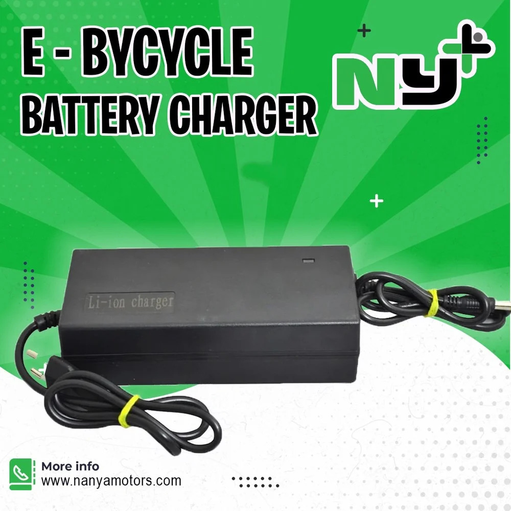 Electric Bicycle Battery Charger